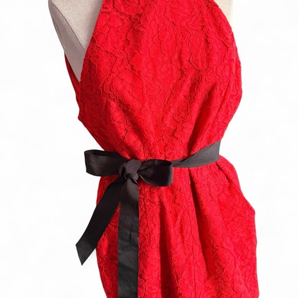 BB Dakota Rose Red Lace Dress
